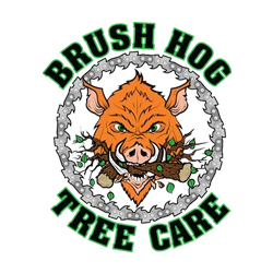 Brush Hog Tree Care