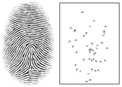 Fingerprint and Minutiae Points