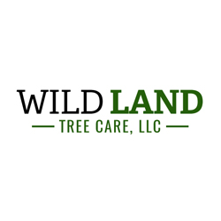Wild Land Tree Care