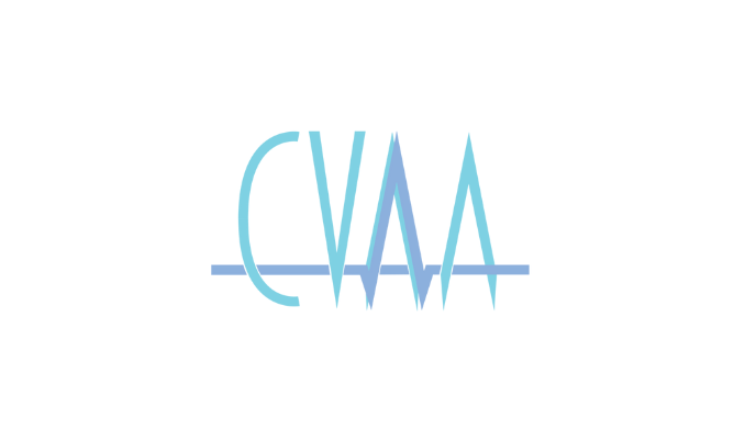CVAA Case Study Image