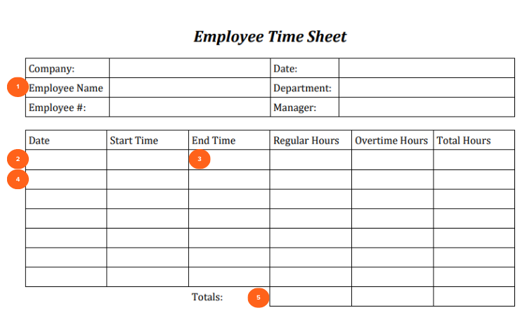 Filling Out a Daily Time Sheet