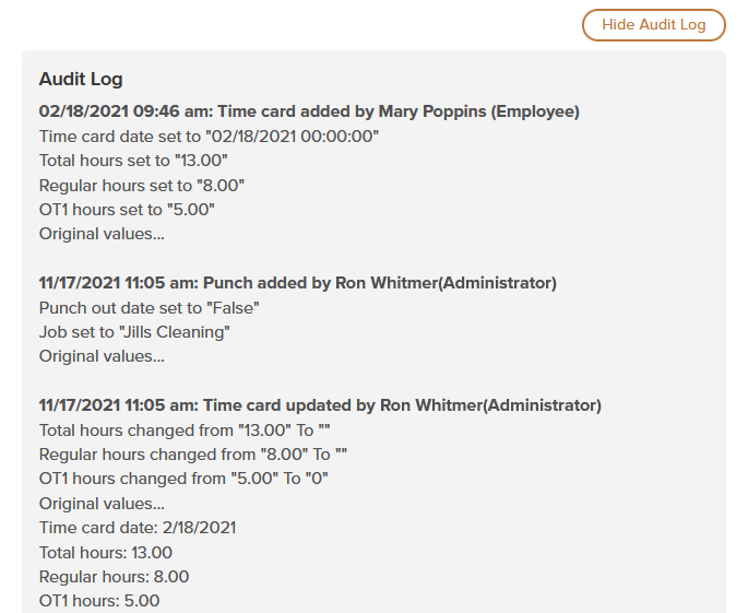 Audit log timesheet data