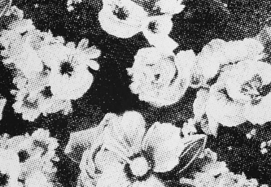 Khryo-Floral-Bouquet